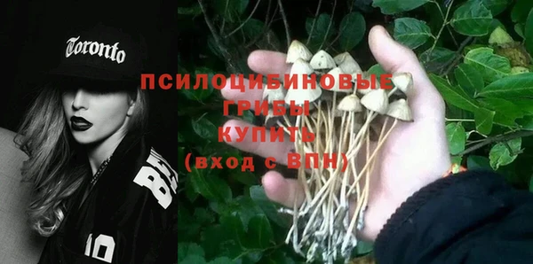 ALPHA-PVP Богданович