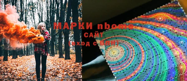 хмурый Богородск