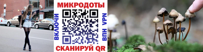 хочу наркоту Балей Псилоцибиновые грибы мухоморы